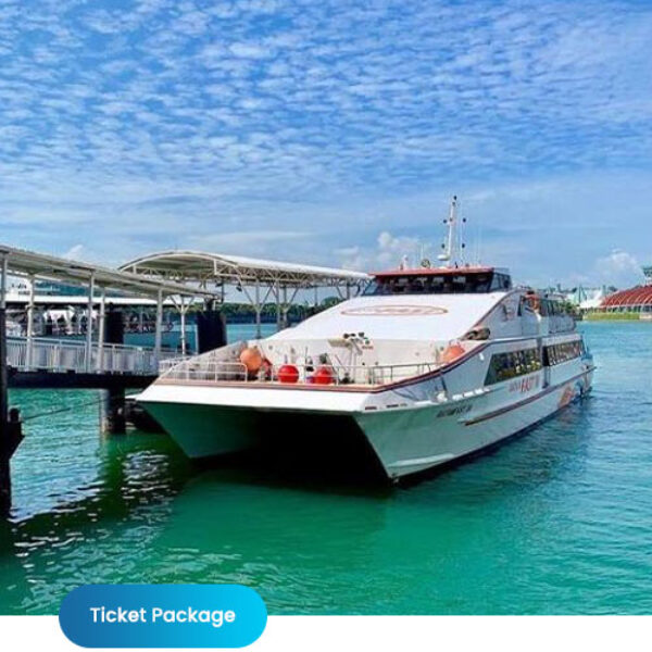 ticket-ferry-package-2-600x600